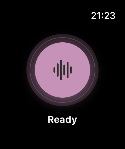 Record and Transcribe Apple Watch app showing the record button